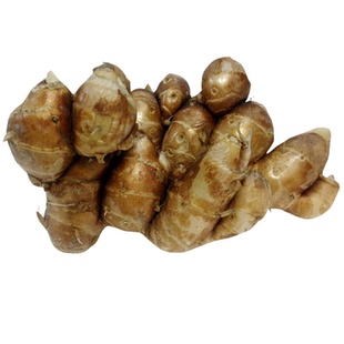 正宗沙姜新鲜包邮广东茂名本地一级生砂姜白切鸡椰子鸡蘸料调配料