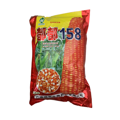 适应广东广西云南等同一生态种植玉米都都158棒子大粒深