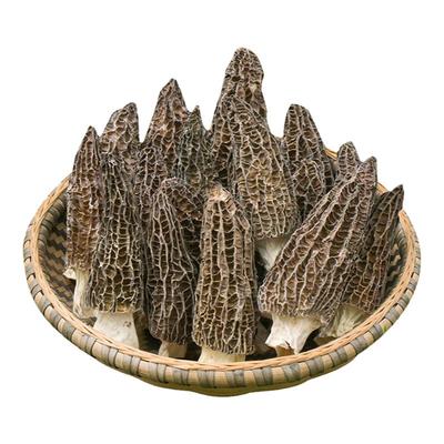 山男·经方缘剪脚选货羊肚菌选货