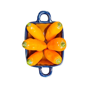 阿吉阿马里洛辣椒种子中辣果香热带风味传家宝春秋室内阳台盆栽