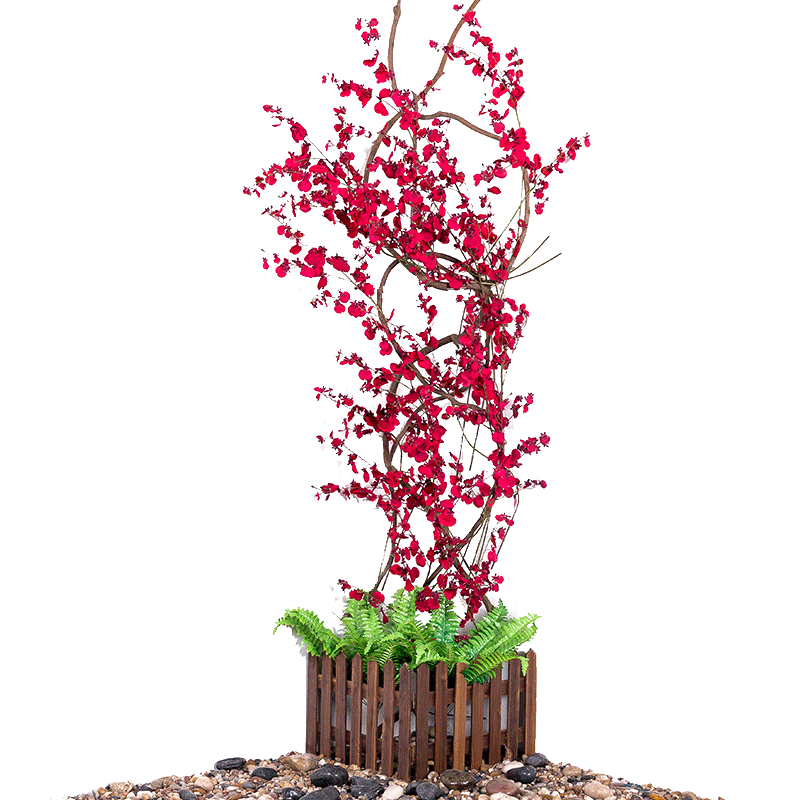 雨麦跳舞兰高端花艺墙面装饰