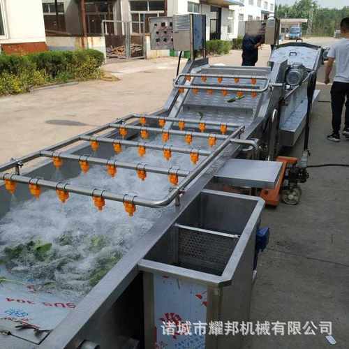 全自动洗菜机 不锈钢蔬菜清洗机 气泡清洗机 现货供应