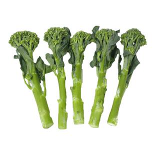 西兰苔种子西洋芥兰小西兰花芦笋青花菜笋秀兰芥蓝籽四季春禾之元