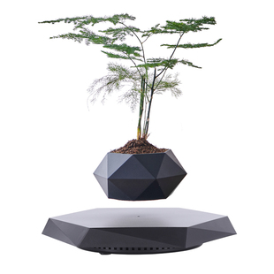 创意生日礼物送女朋友闺蜜女孩子治愈系仿真绿植室内磁悬浮盆栽