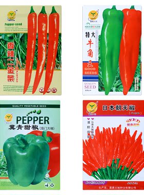 辣椒种子大全高发芽率好吃对版
