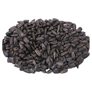 葵花籽种子高端向日葵种孑生吃瓜子矮大头油葵种庭院春播蔬菜种子