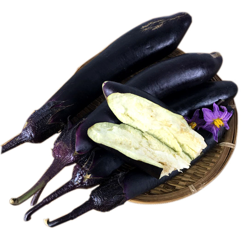 茄子新鲜蔬菜到来福农家笨种