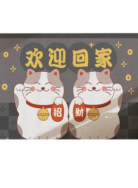 门口进门地垫脚垫防滑垫子