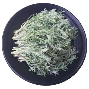 新品现挖白蒿新鲜茵陈天然时令野菜茵陈蒿蒸菜春季蔬菜现货