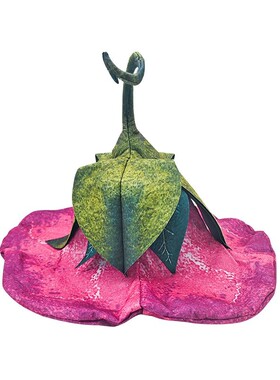 四季喇叭帽保暖牵牛花毛毡巫师帽