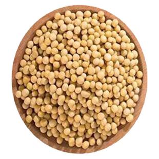 东北黑龙江优质新货黄豆非转基因打豆浆笨黄豆多规格可选