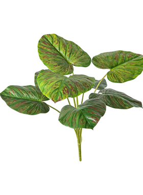 【抖音爆款】小型仿真绿植配材