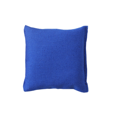 沙包小学生幼儿园专用儿童丢沙包投掷扔小沙包一年级体育考试沙袋