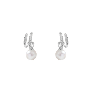 银色珍珠款耳环女2025新款爆款耳坠高级感耳钉超好看独特漂亮耳饰