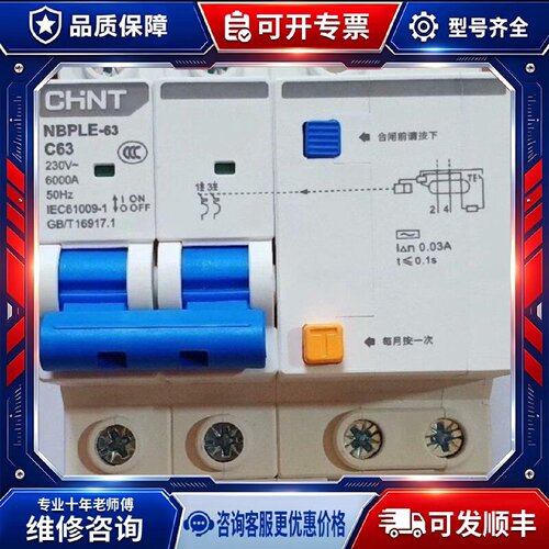【议价-可维修】 CHINT NBPLE-63 63A 2P 开关 /均有货