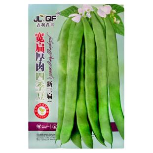 宽扁豆角种孑大扁豆种籽东北芸豆种籽大刀豆角种子农家豆角籽种子