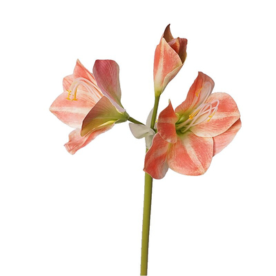 朱顶君子兰前台茶几摆件盆栽假花