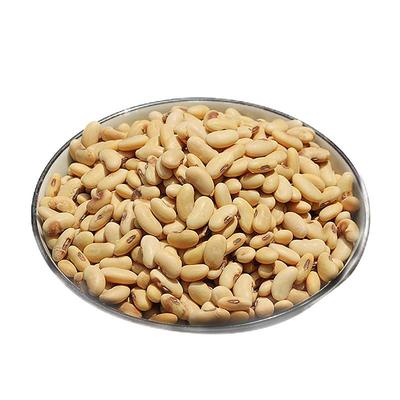 新非转基因肾形黄豆发芽豆浆专用