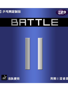 乒乓网奔腾2省队特制版