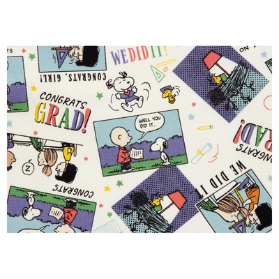 日本进口清原牛津棉面料版权布