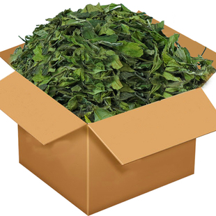 花香福鼎荒山大白茶2024年春季抛荒原料高山寿眉散装5斤整箱