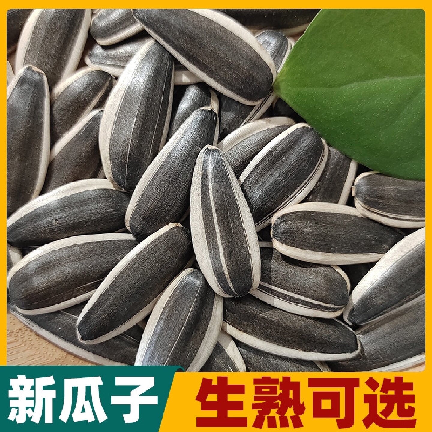 三龙源新鲜生葵瓜子2025年内蒙生葵花籽原味瓜子大颗粒葵花籽坚果