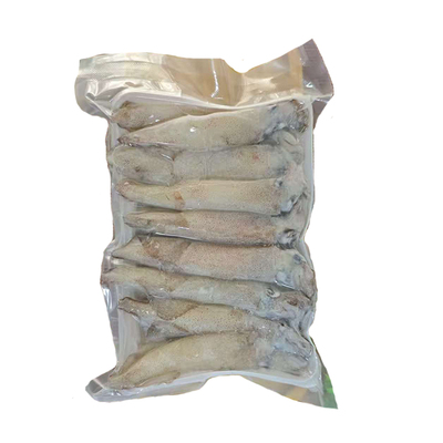 大连海鲜笔管鱼顺丰特快