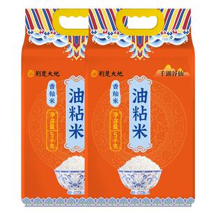 荆楚大地大米千湖谷仙油粘米5kg*2袋香籼米长粒米南方大米真空装