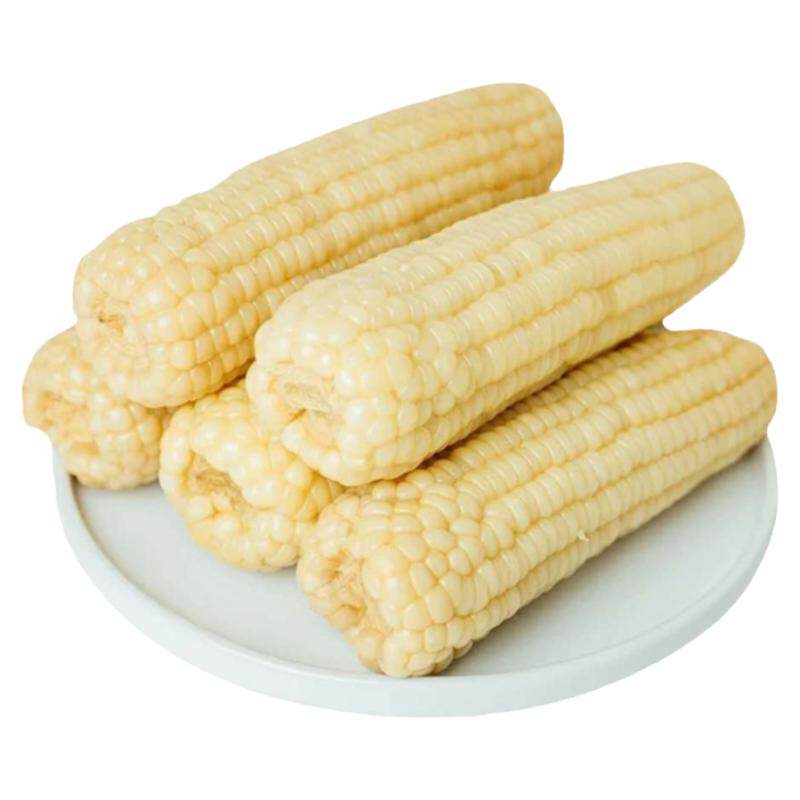 珍真棒玉米种子鲜食甜糯玉米种籽春秋四季高产粘玉米种子大田种孑