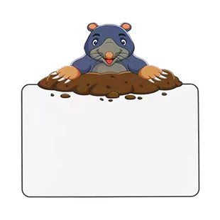 打地鼠识字游戏道具儿童桌面游戏可擦写空白卡片英语课堂游戏教具