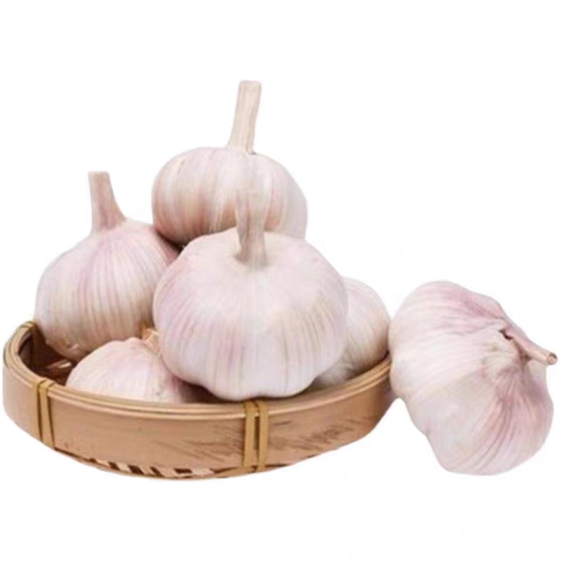 新干大蒜农家自种干蒜头蔬菜新鲜干蒜紫白皮红皮大蒜头2025年