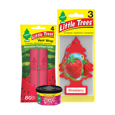 LittleTree美国汽车香片车载