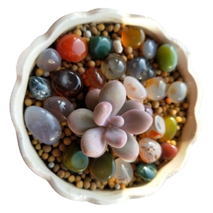 南京雨花石原石天然清仓瑕疵款处理多肉铺面盆栽园林造景鱼缸石子