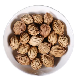 特级香砂仁香料500g克包邮香砂沙仁四川金砂仁调料川八角桂皮香叶