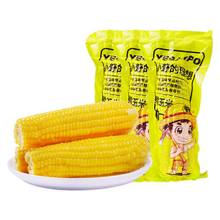 拒马河畔25年新玉米黄糯玉米新鲜软糯粘苞米香甜苞谷免切真空即食