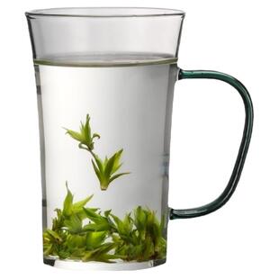 水杯绿茶专用龙井玻璃杯茶杯办公室泡猴魁耐热杯带把手泡茶杯加厚