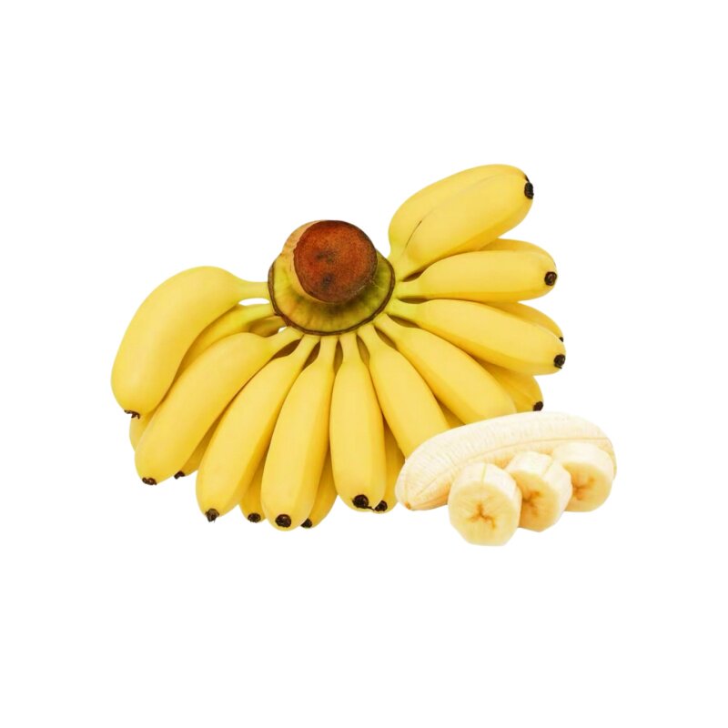 粉蕉树苗矮化香蕉树苗皇帝蕉红香蕉树苗广东粉蕉苗耐寒金粉一号苗