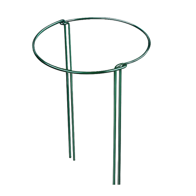 花支撑架护花架支撑杆花卉龟背竹