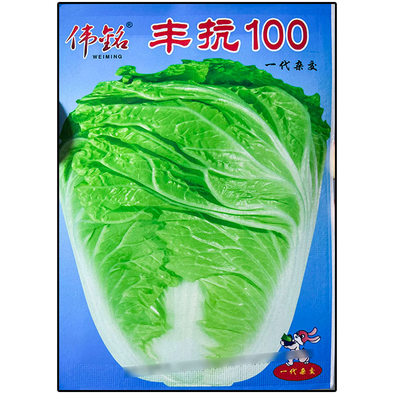 蔬菜种子四季播种阳台农家庭院盆栽生菜菠菜韭菜香菜草莓籽孑包邮