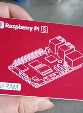 RaspberryPi54GBRAM全新未拆封原