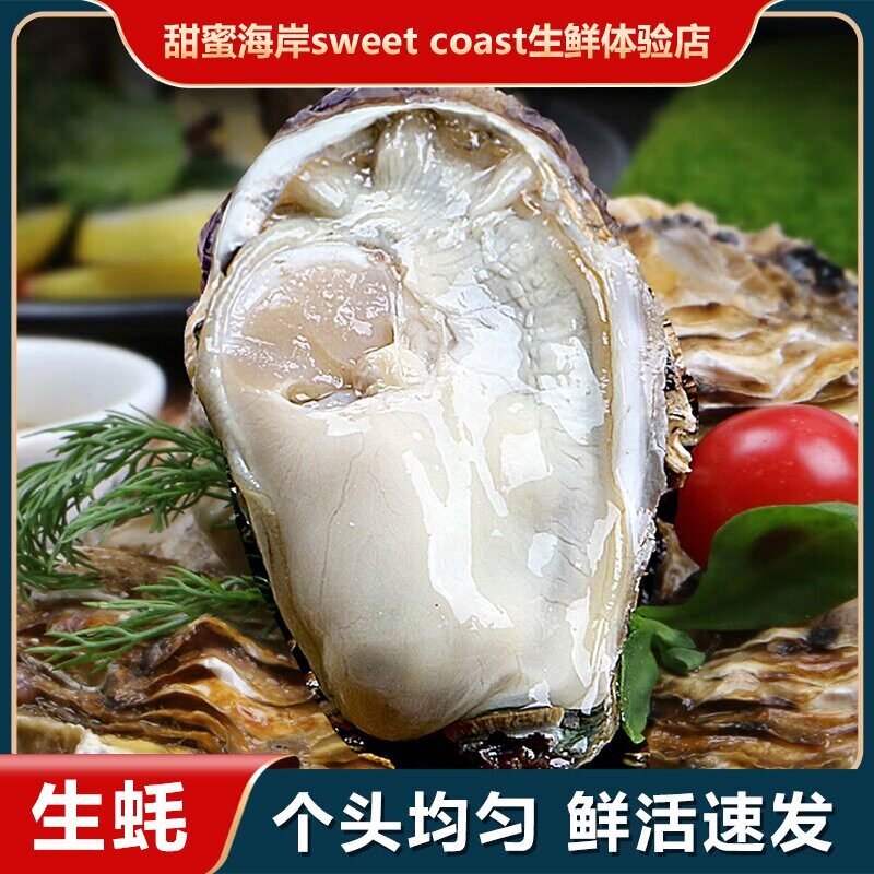 甜蜜海岸sweet coast当季鲜活冷水生蚝包肥包活 一斤5个左右*6斤