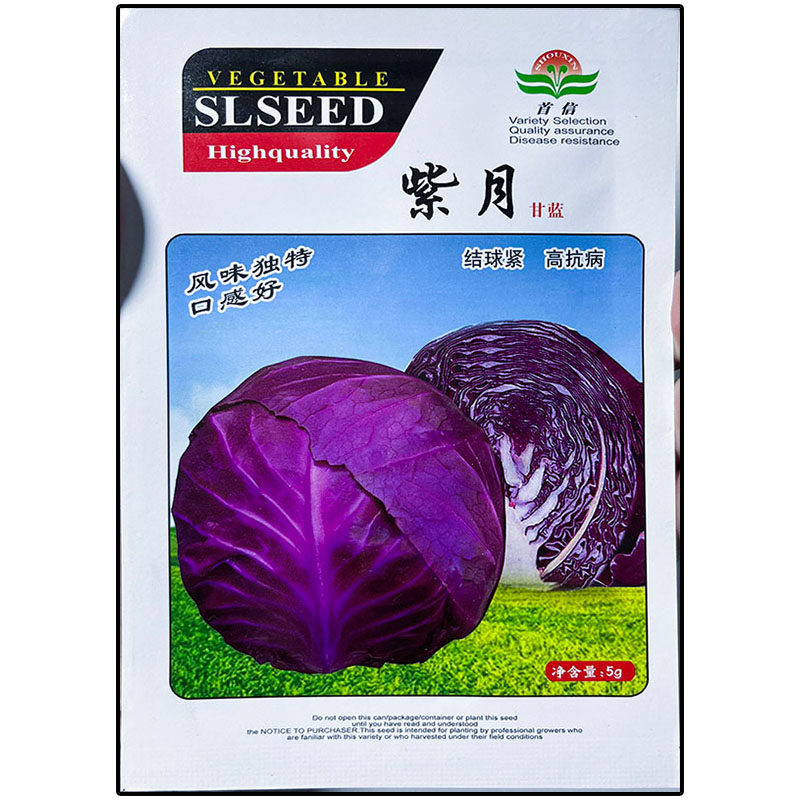 紫月甘蓝莲花白圆球形蔬菜种子