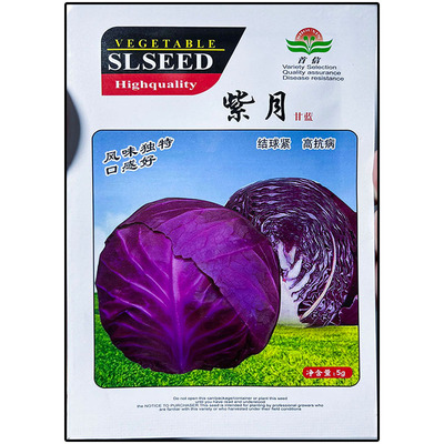紫月甘蓝莲花白圆球形蔬菜种子
