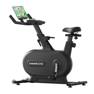 立久佳自发电动感单车家用款健身器材室内运动减肥自行车追风MINI