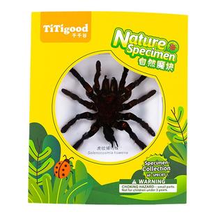 千千谷真虫标本昆虫魔块海洋动物乌龟章鱼蜘蛛学习儿童玩具