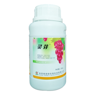 50%单氰胺葡萄破眠剂催芽提前发芽樱桃果树催芽促芽剂生长调节剂