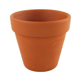 天然海螺贝壳螺海葵奶嘴防跑窝葵巢基座珊瑚水族箱鱼缸造景装饰