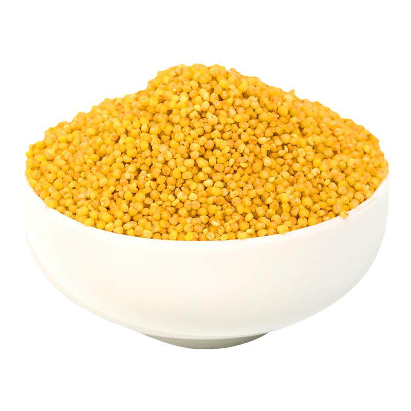 陕北小米黄小米农家自产陕西小米杂粮小米粥小黄米新米500g*2袋