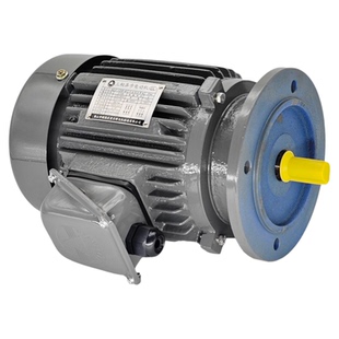 台湾ADLEEPOWER爱德利立式电机AEVF1/2HP4P370W三相异步电动机ACO