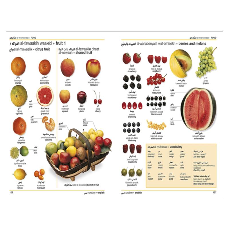 DK语言字典双语图解字典polish english Bilingual Visual Dictionary英文原版波兰英双语韩语葡萄牙语视觉词典字典语言学习工具书